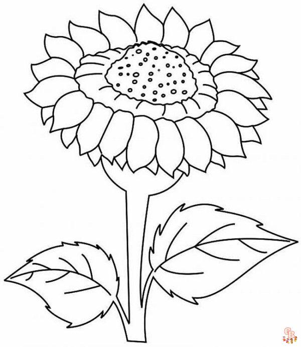 Coloriage Fleur Pages gratuites pour enfants et adultes