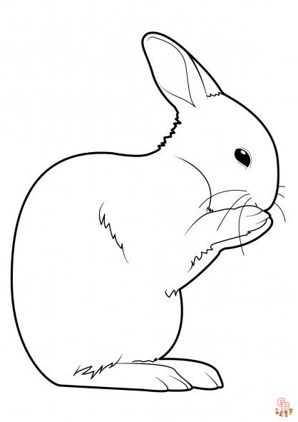 Coloriage Lapin Dessin animé, Pâques, réaliste, sautant, mignon, avec fleurs