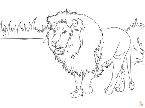 Coloriage Lion Modèles pour Enfants, Adultes et Activités Scolaires