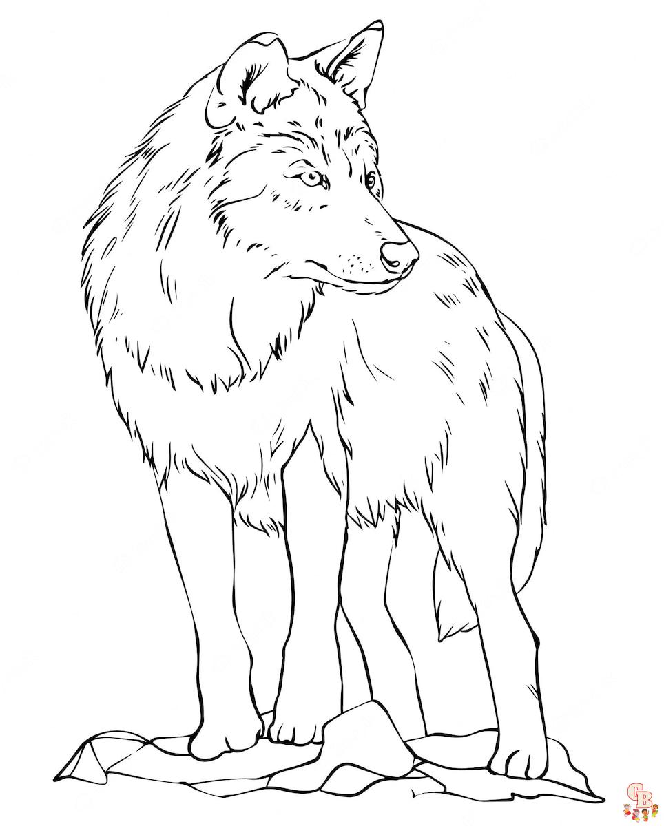 Coloriage loup pour enfants - Dessins de loups à colorier facilement