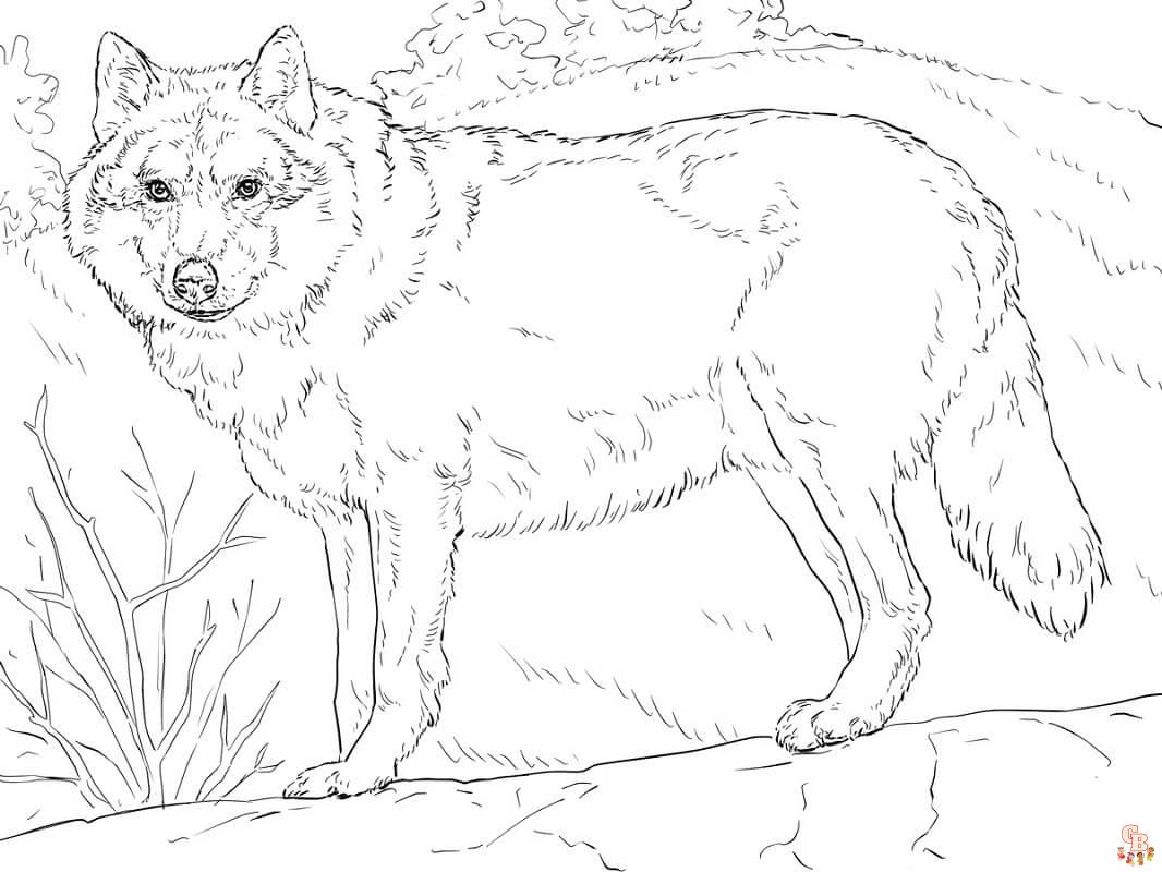 Coloriage loup pour enfants - Dessins de loups à colorier facilement