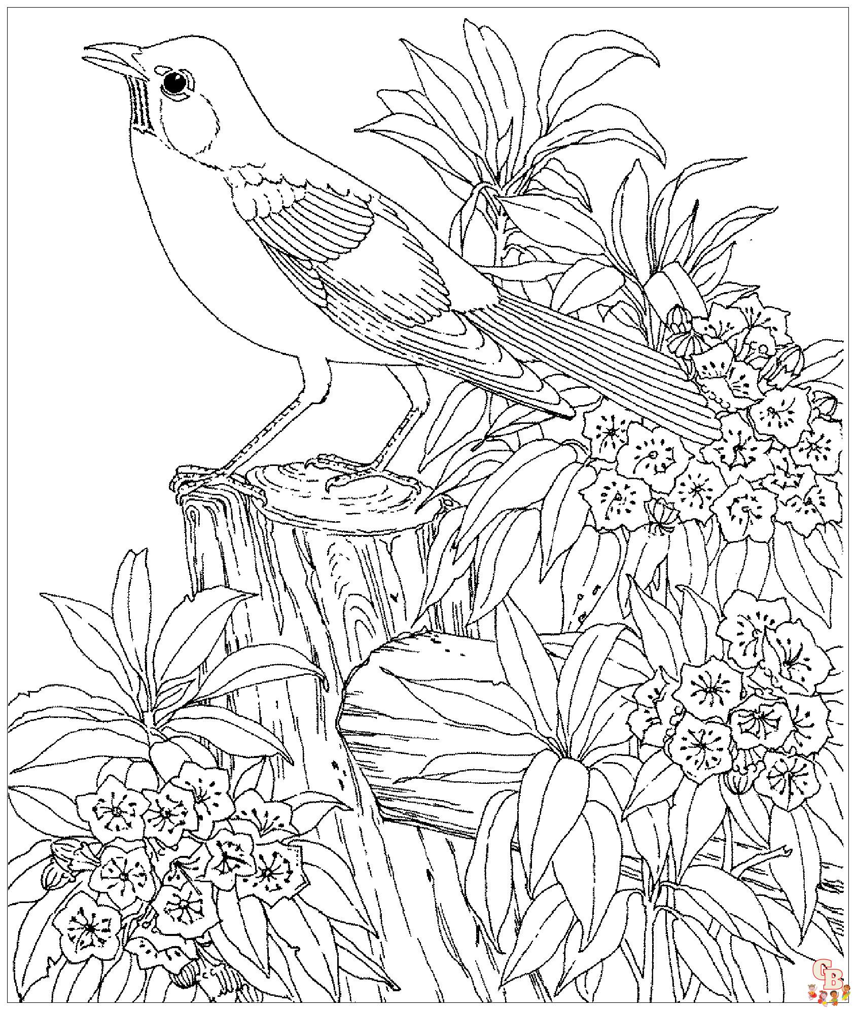 Coloriage oiseau Modèles réalistes, exotiques et mignons à colorier pour enfants