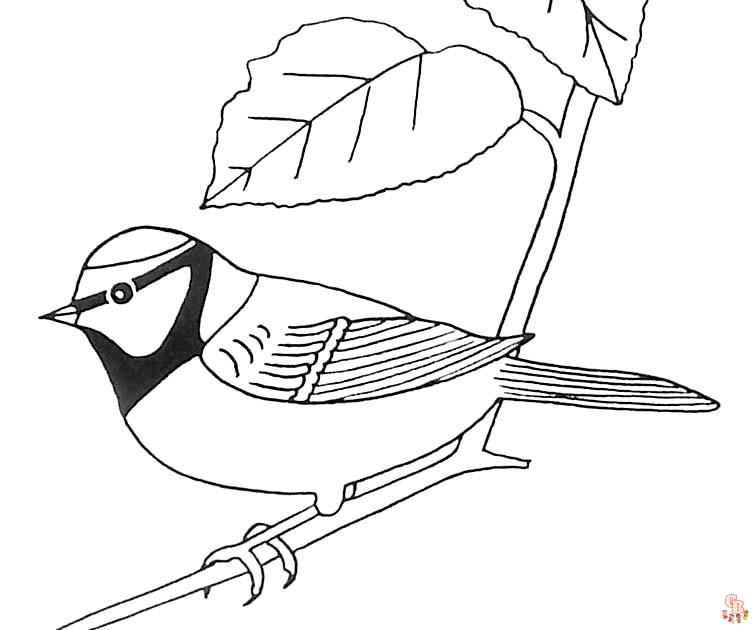 Coloriage oiseau Modèles réalistes, exotiques et mignons à colorier pour enfants