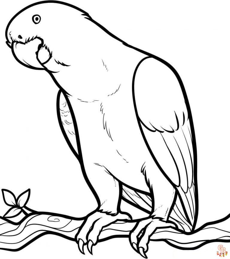 Coloriage oiseau Modèles réalistes, exotiques et mignons à colorier pour enfants