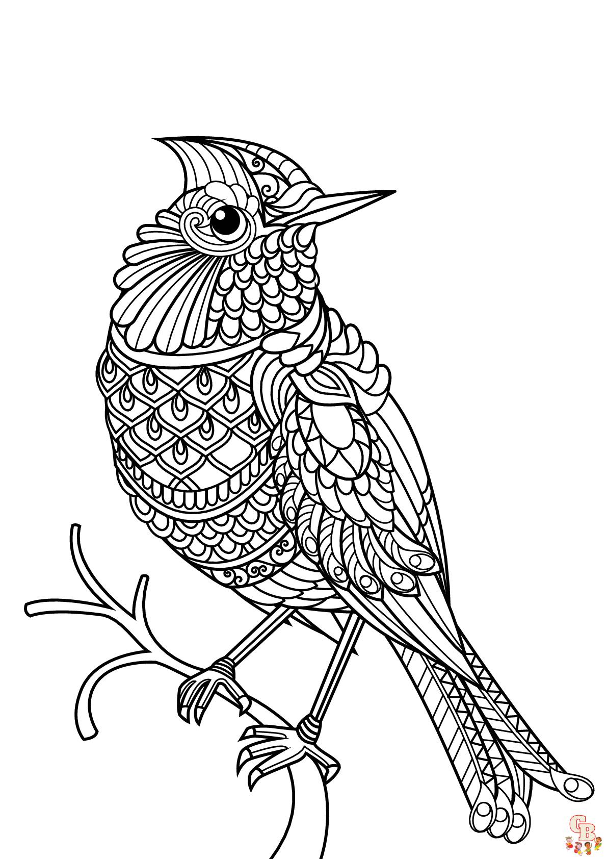 Coloriage oiseau Modèles réalistes, exotiques et mignons à colorier pour enfants