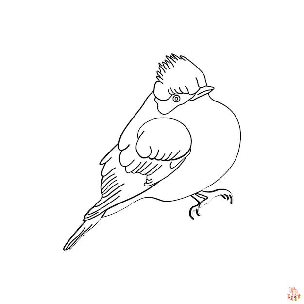 Coloriage oiseau Modèles réalistes, exotiques et mignons à colorier pour enfants