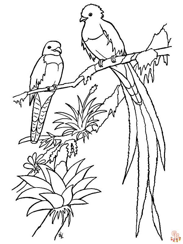 Coloriage oiseau Modèles réalistes, exotiques et mignons à colorier pour enfants