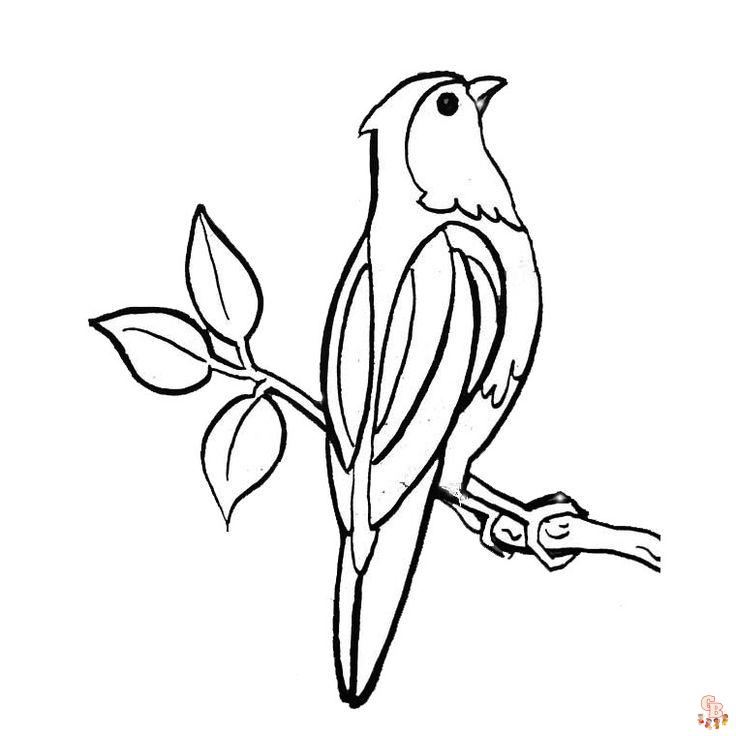 Coloriage oiseau Modèles réalistes, exotiques et mignons à colorier pour enfants