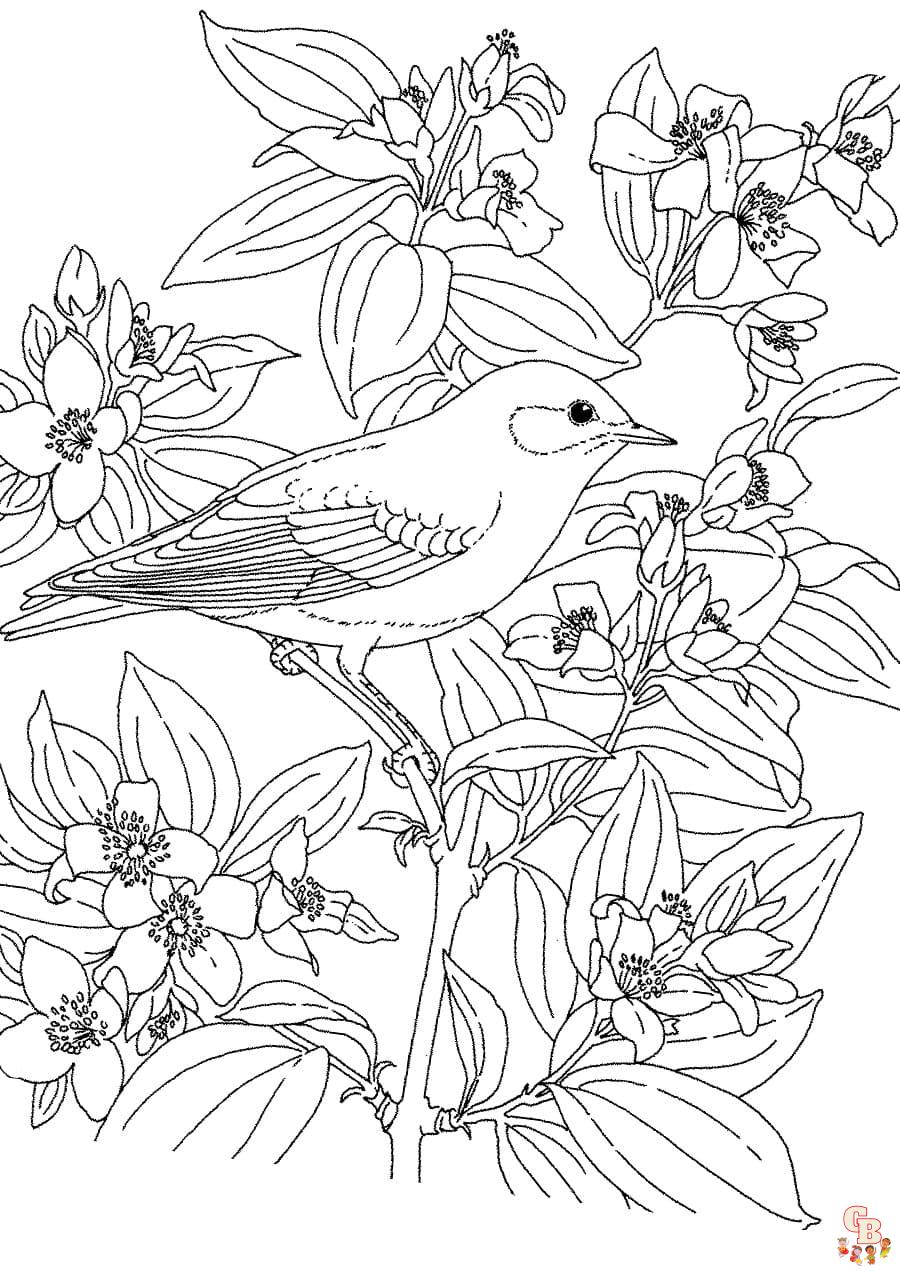 Coloriage oiseau Modèles réalistes, exotiques et mignons à colorier pour enfants