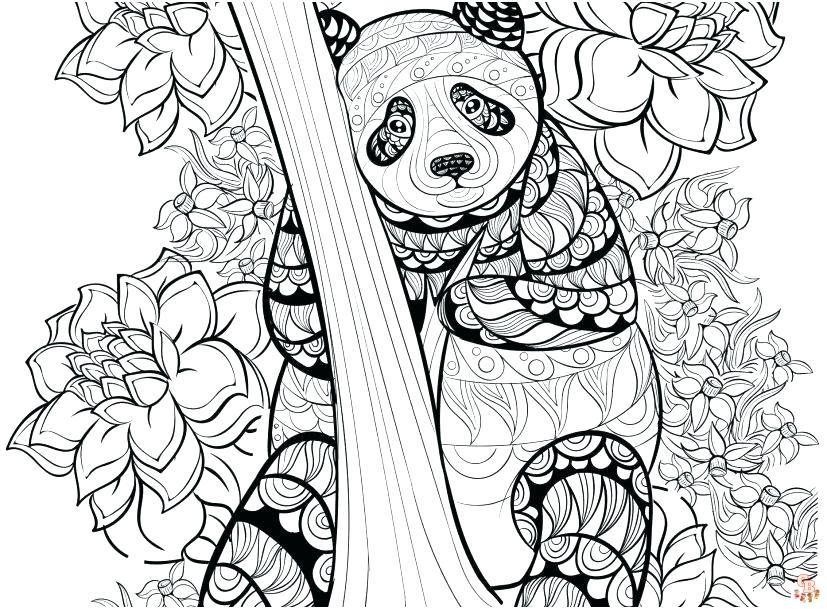 Découvrez les meilleurs coloriages de panda