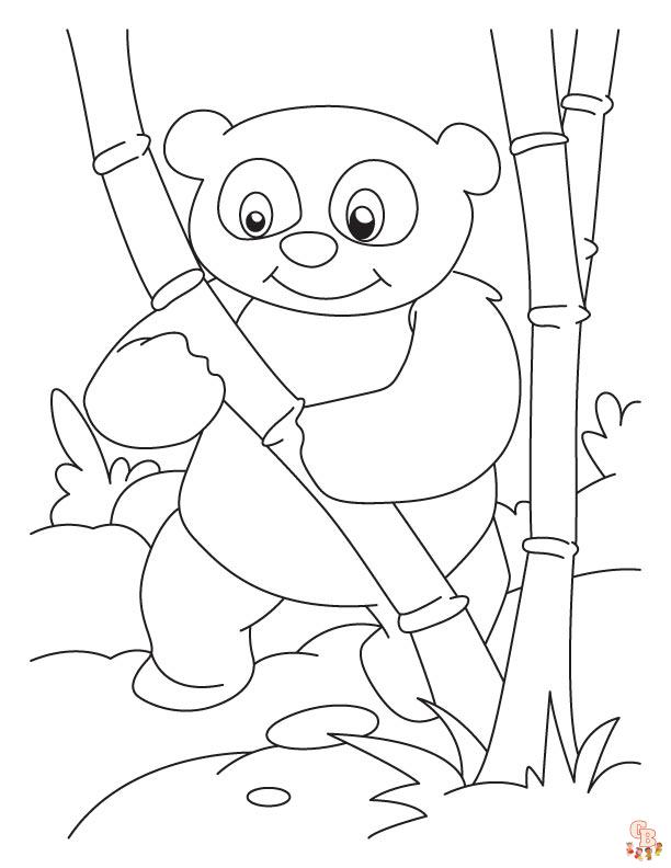 Découvrez les meilleurs coloriages de panda