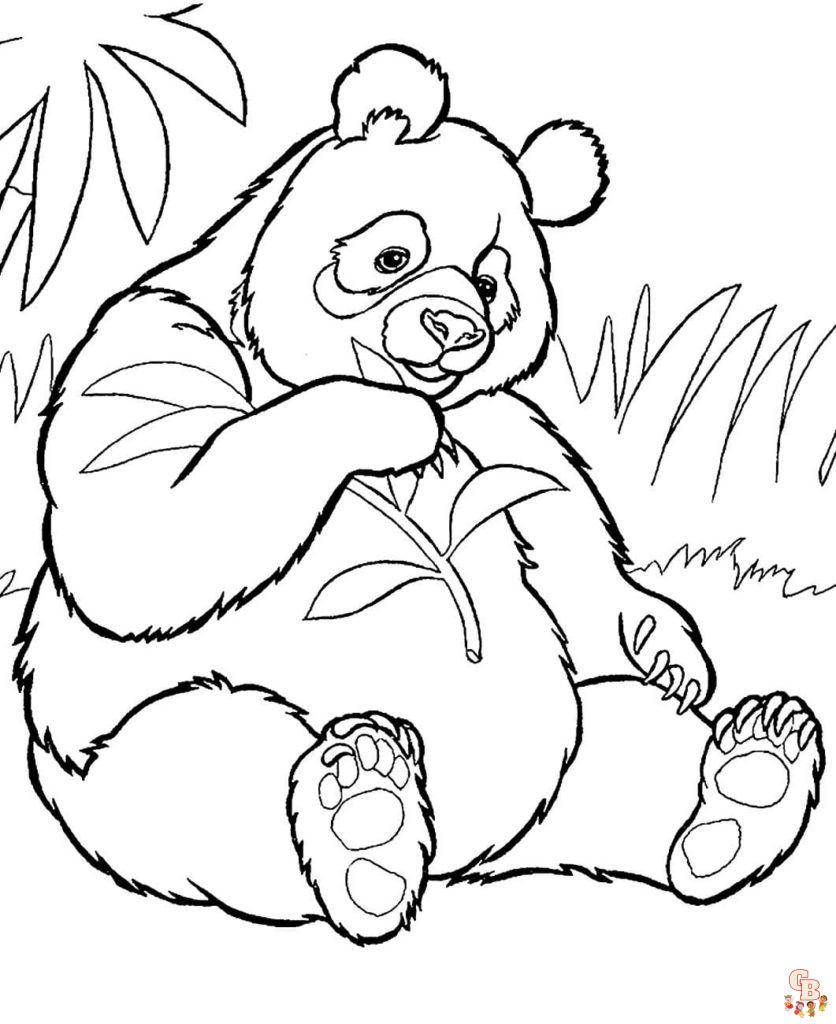 Découvrez les meilleurs coloriages de panda