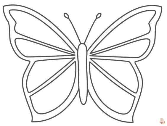 Coloriage papillon - Des modèles gratuits pour enfants et passionnés d'insectes