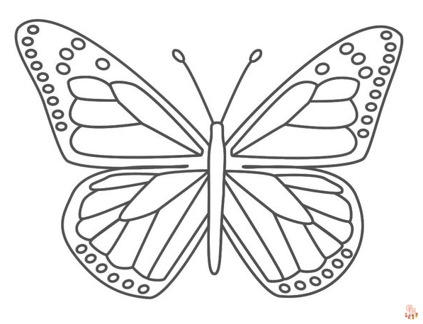 Coloriage papillon - Des modèles gratuits pour enfants et passionnés d'insectes