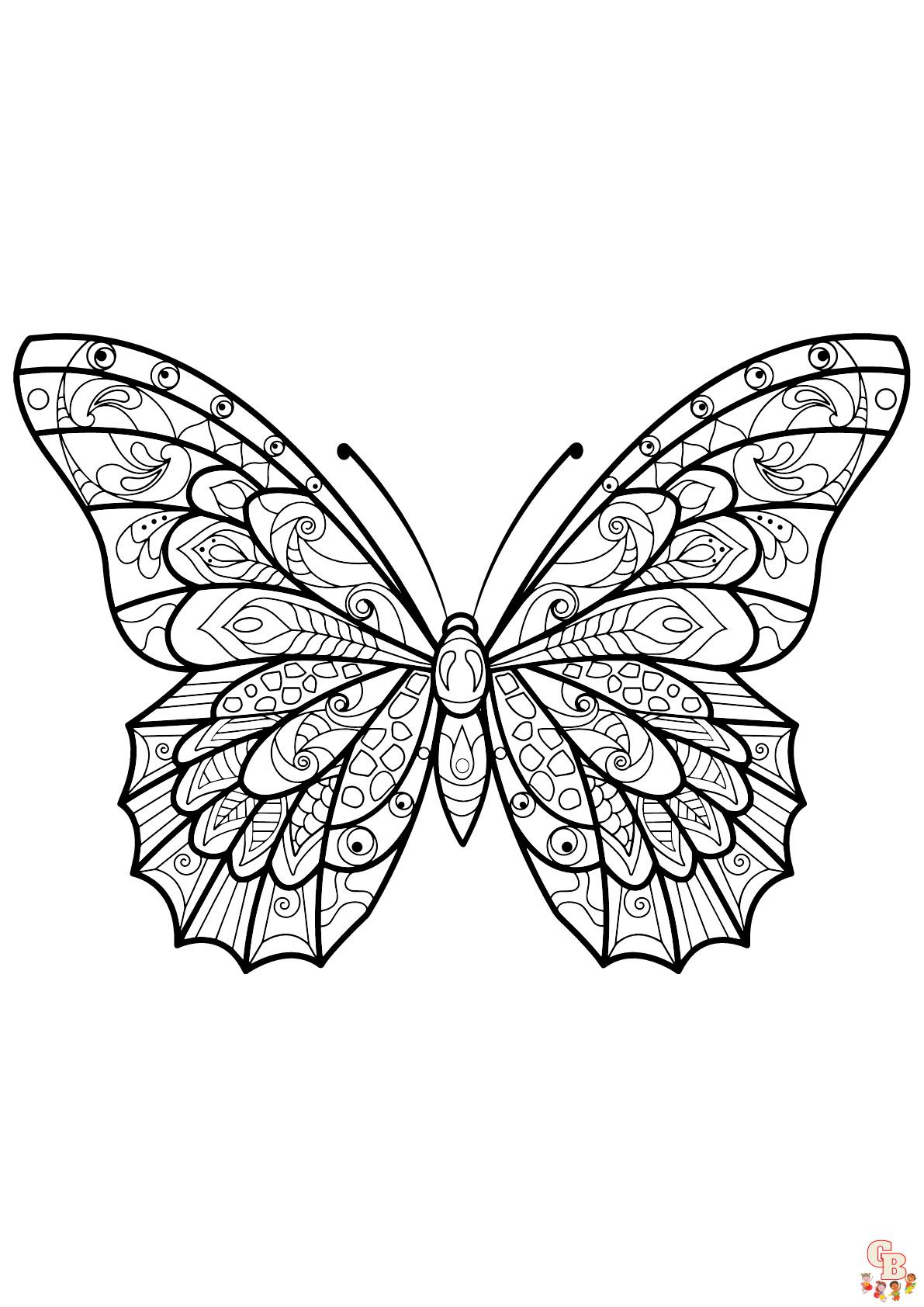 Coloriage papillon - Des modèles gratuits pour enfants et passionnés d'insectes