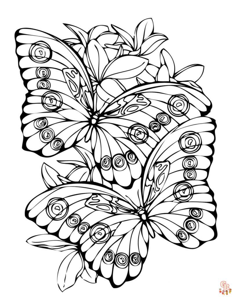 Coloriage papillon - Des modèles gratuits pour enfants et passionnés d'insectes