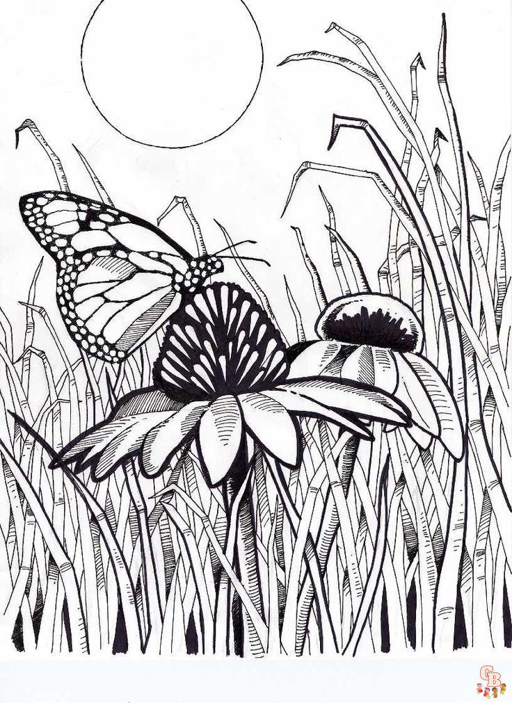 Coloriage papillon - Des modèles gratuits pour enfants et passionnés d'insectes