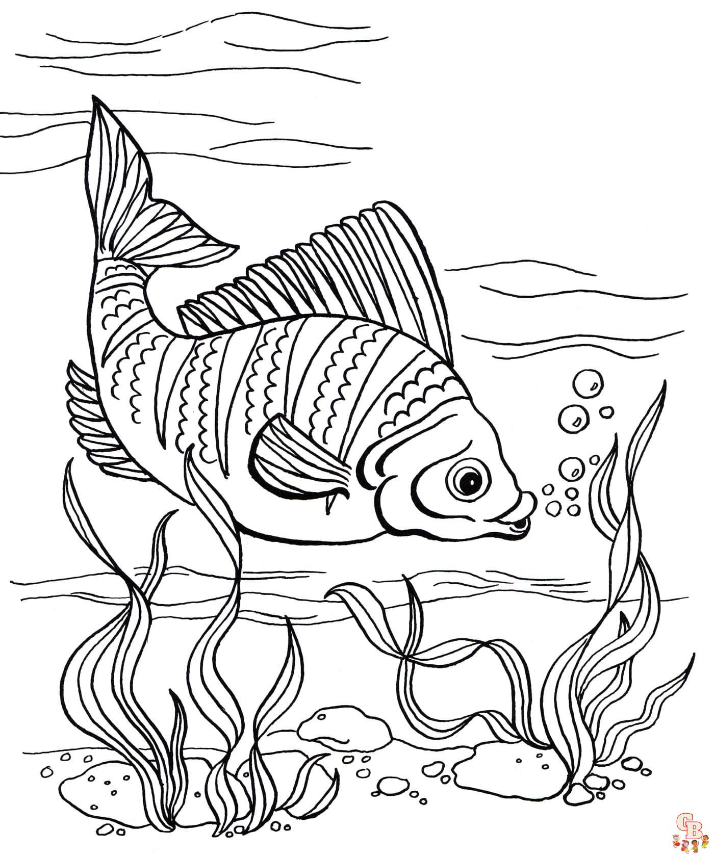 Coloriage Poisson Des Dessins à Imprimer pour les Enfants