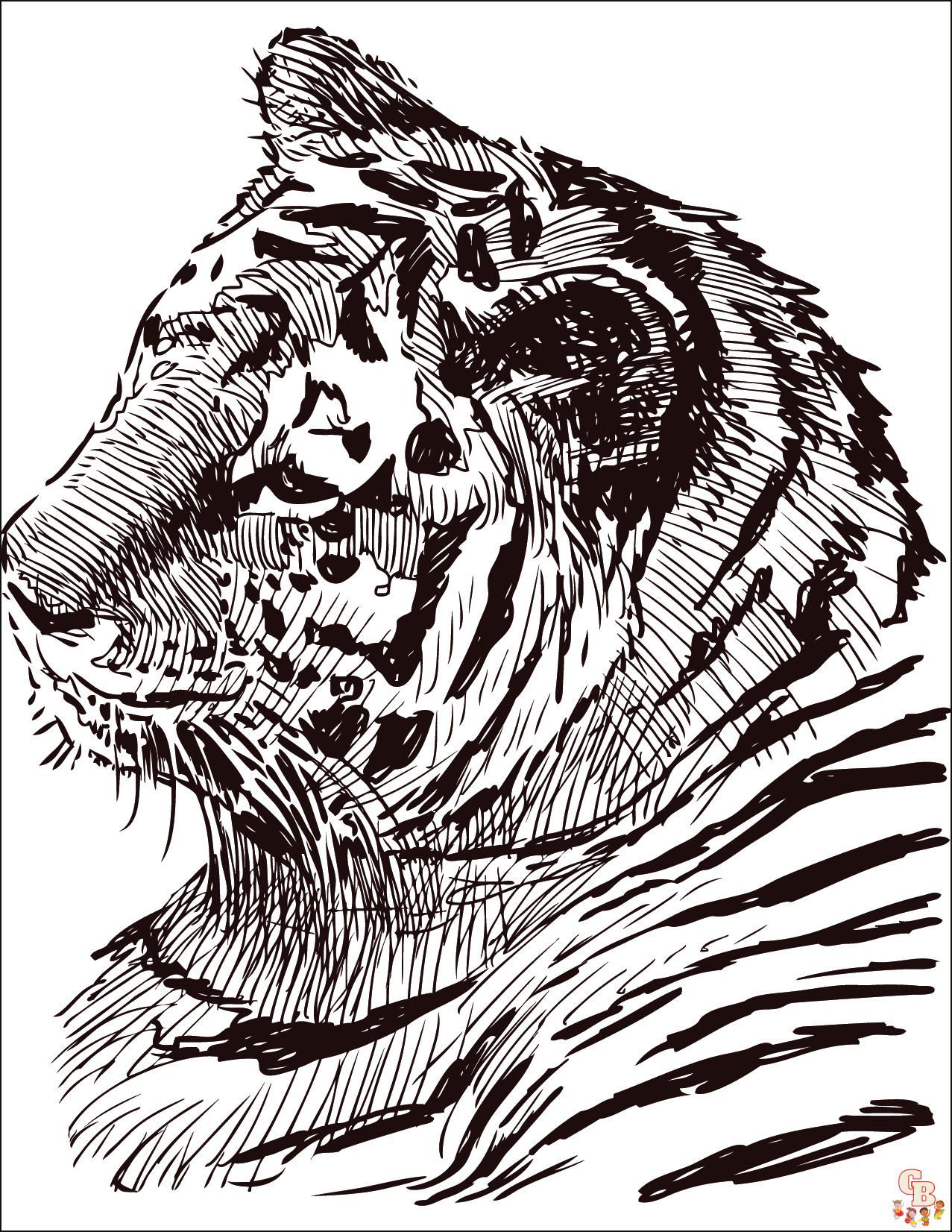 Coloriage Tigre pour Enfant - Les plus beaux modèles à imprimer