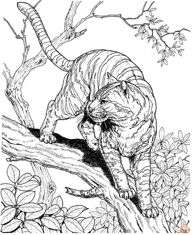 Coloriage Tigre pour Enfant - Les plus beaux modèles à imprimer