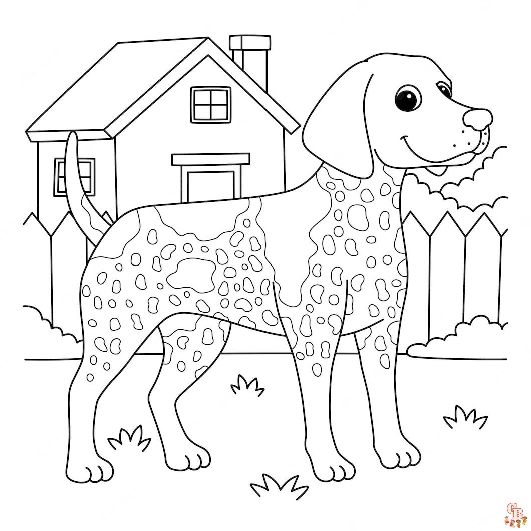 coloriage chien