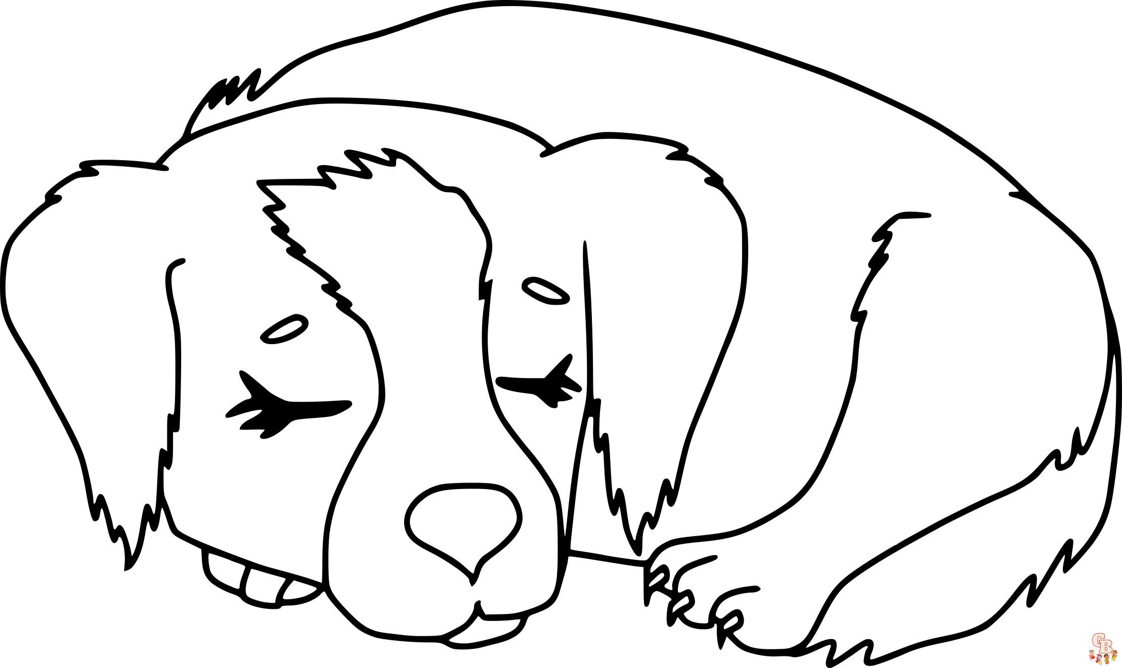 coloriage chien