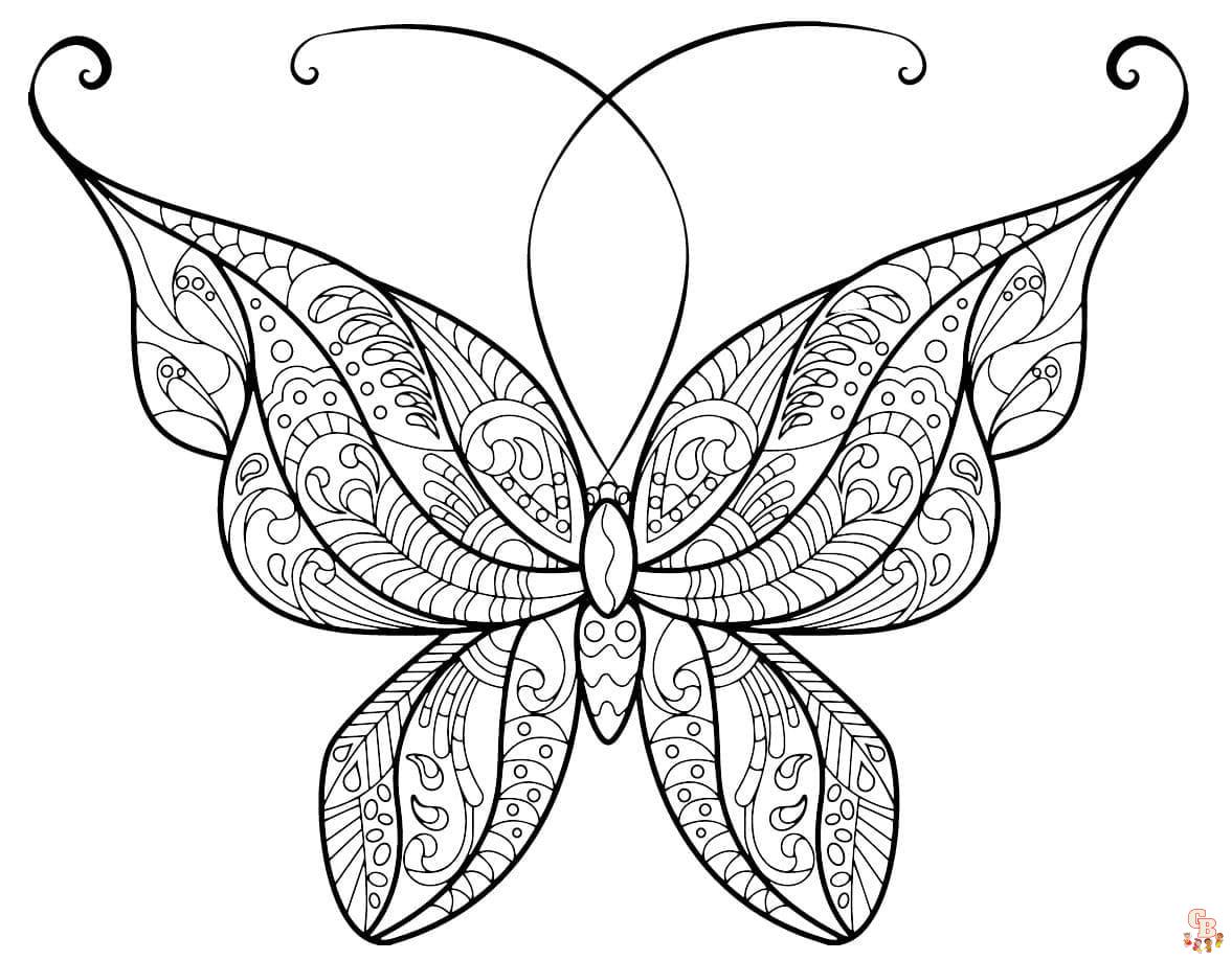 Coloriage Adulte Papillon