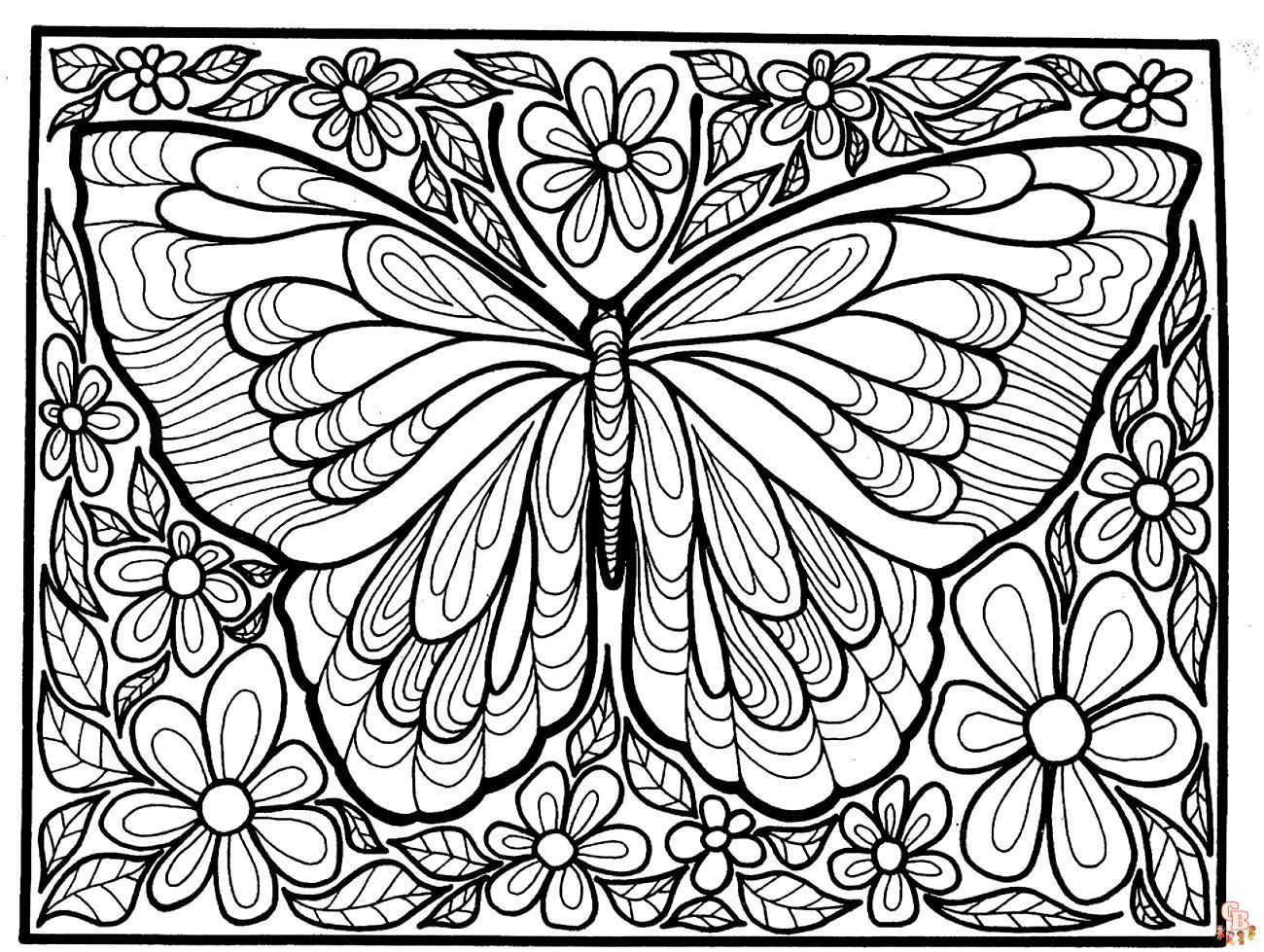 Coloriage Adulte Papillon