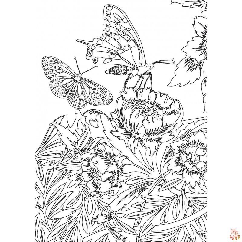 Coloriage Adulte Papillon