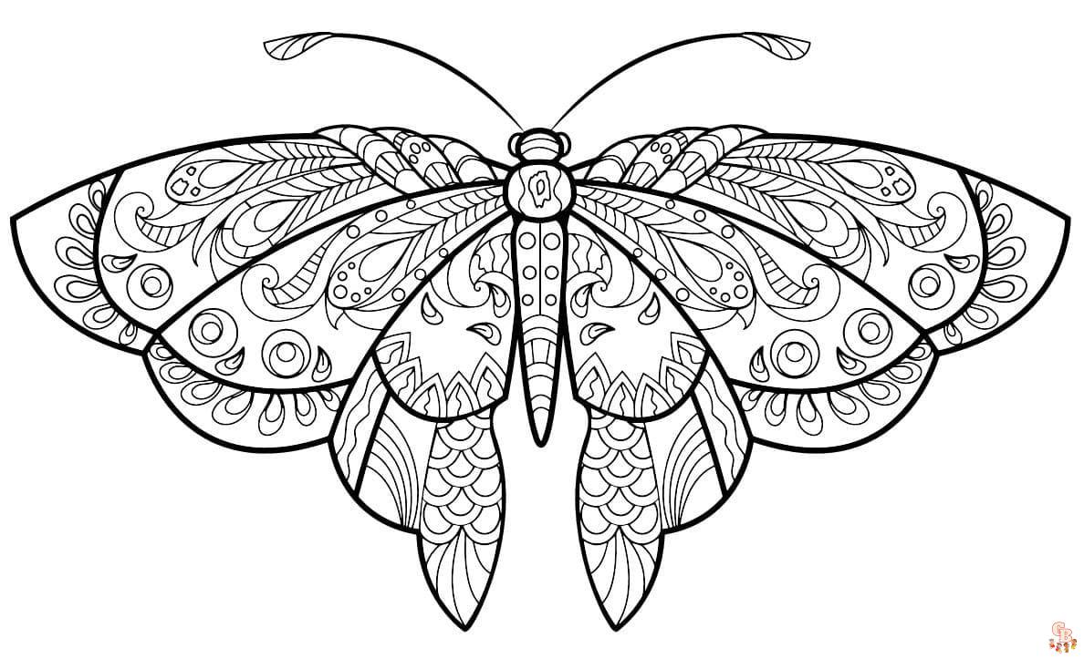 Coloriage Adulte Papillon