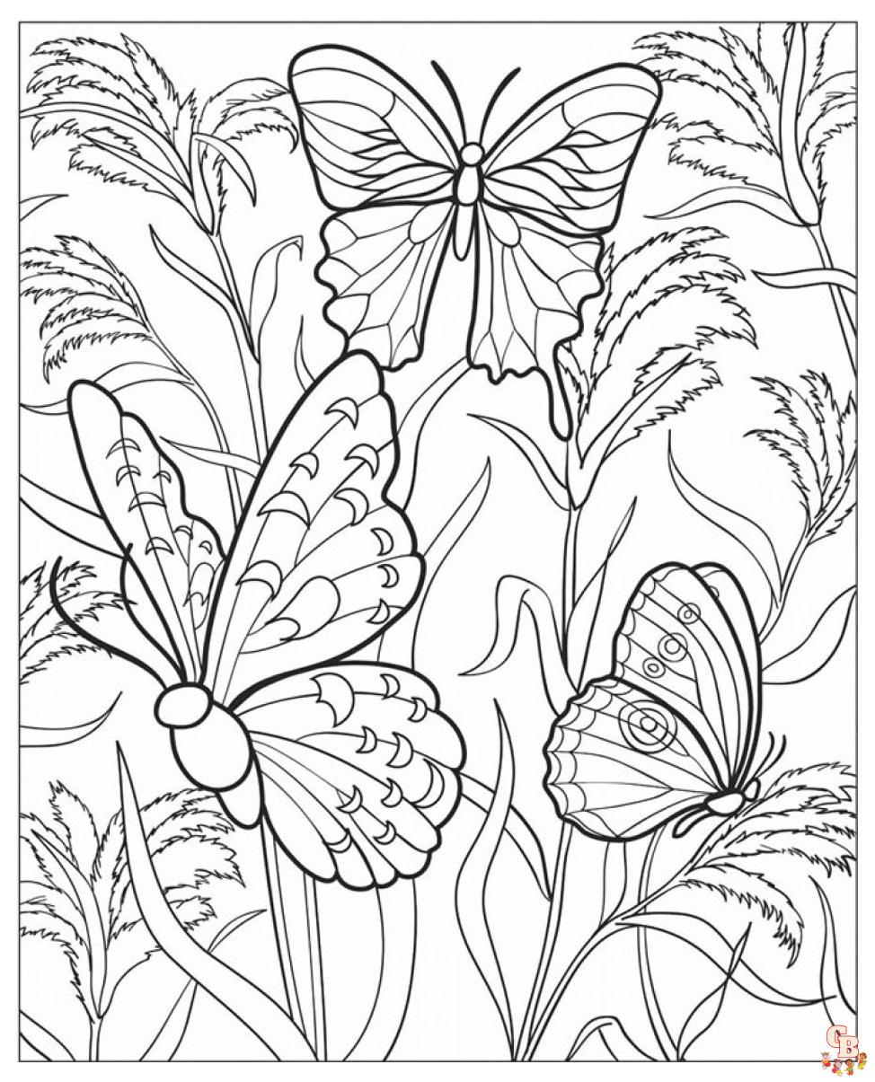 Coloriage Adulte Papillon