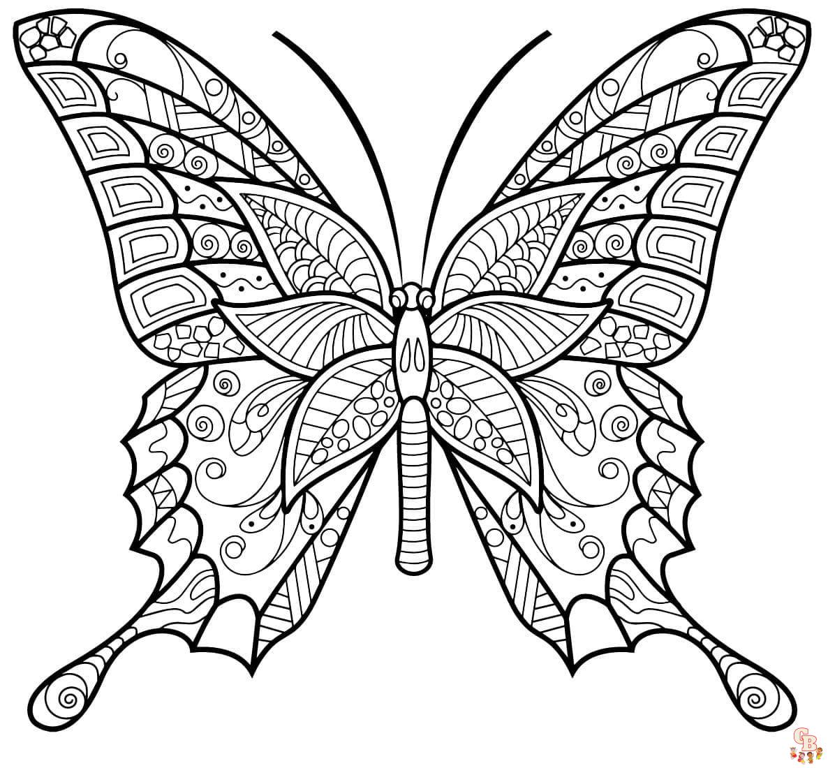 Coloriage Adulte Papillon