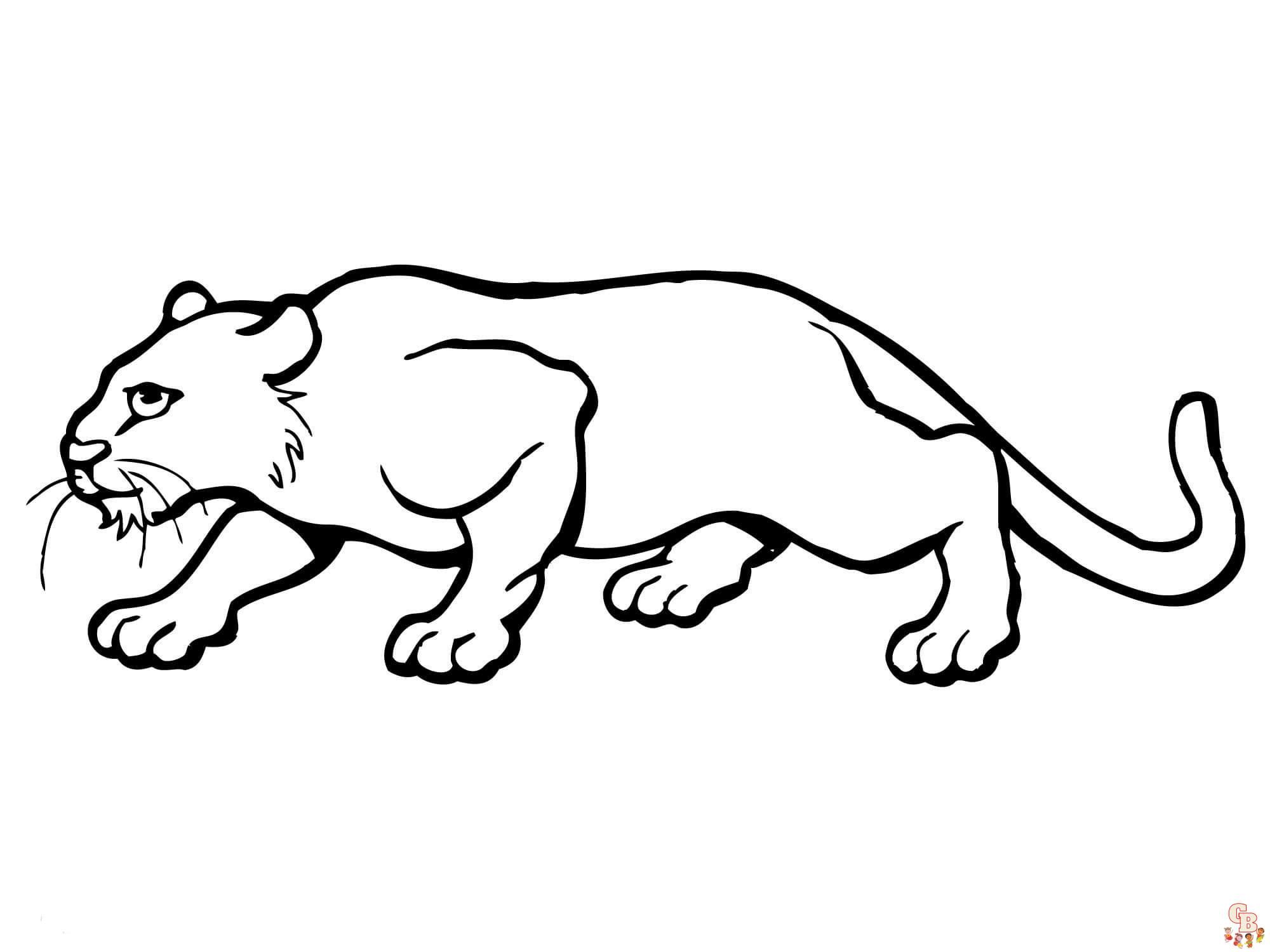 Coloriage Puma