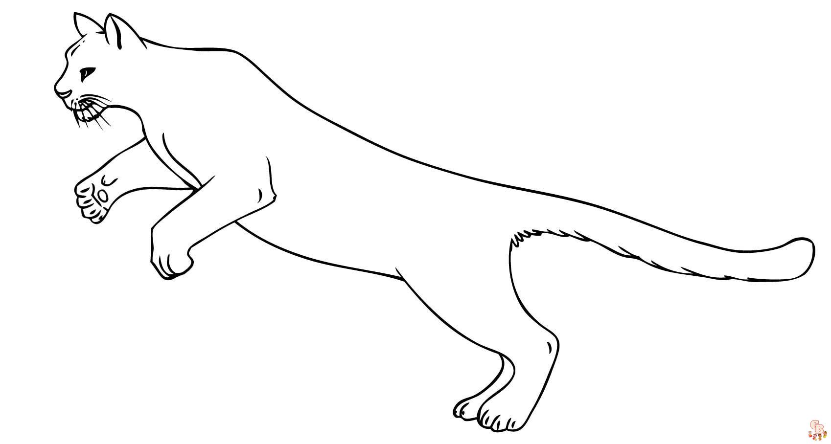 Coloriage Puma