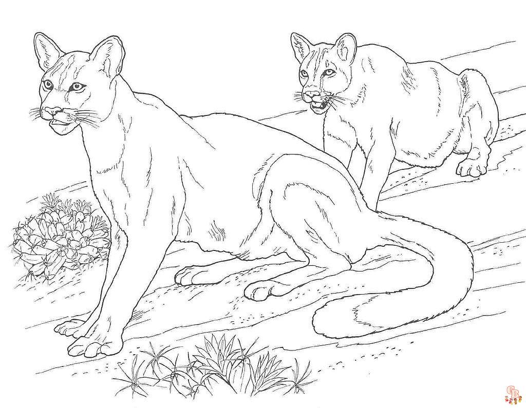 Coloriage Puma