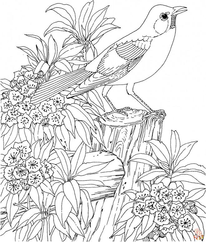 Coloriage Adulte Animaux