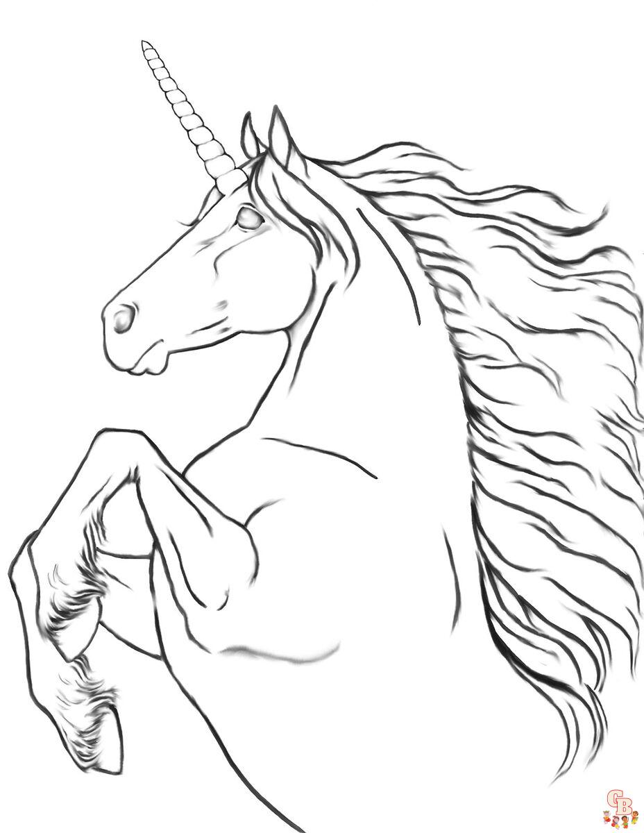 Coloriage Adulte Cheval