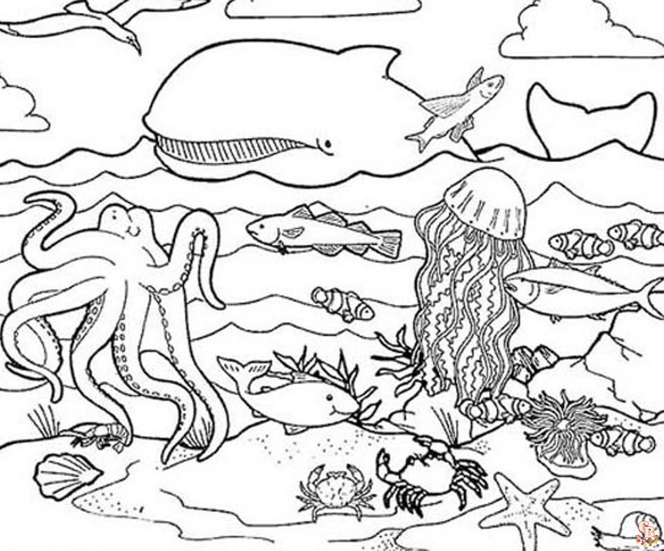 Coloriage Animaux De La Mer