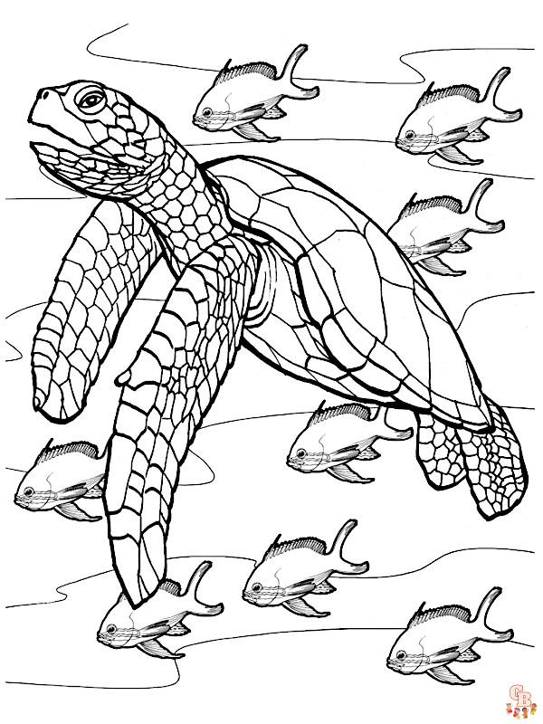 Coloriage Animaux De La Mer