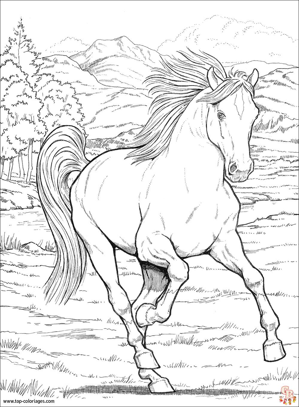 Coloriage Chevaux