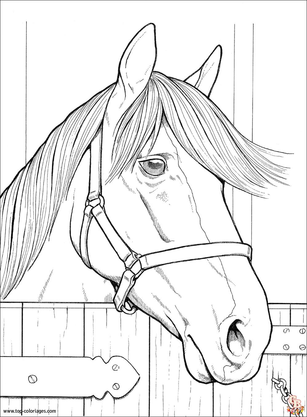 Coloriage Chevaux