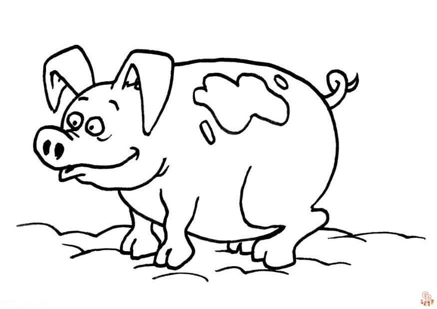 Coloriage Cochons