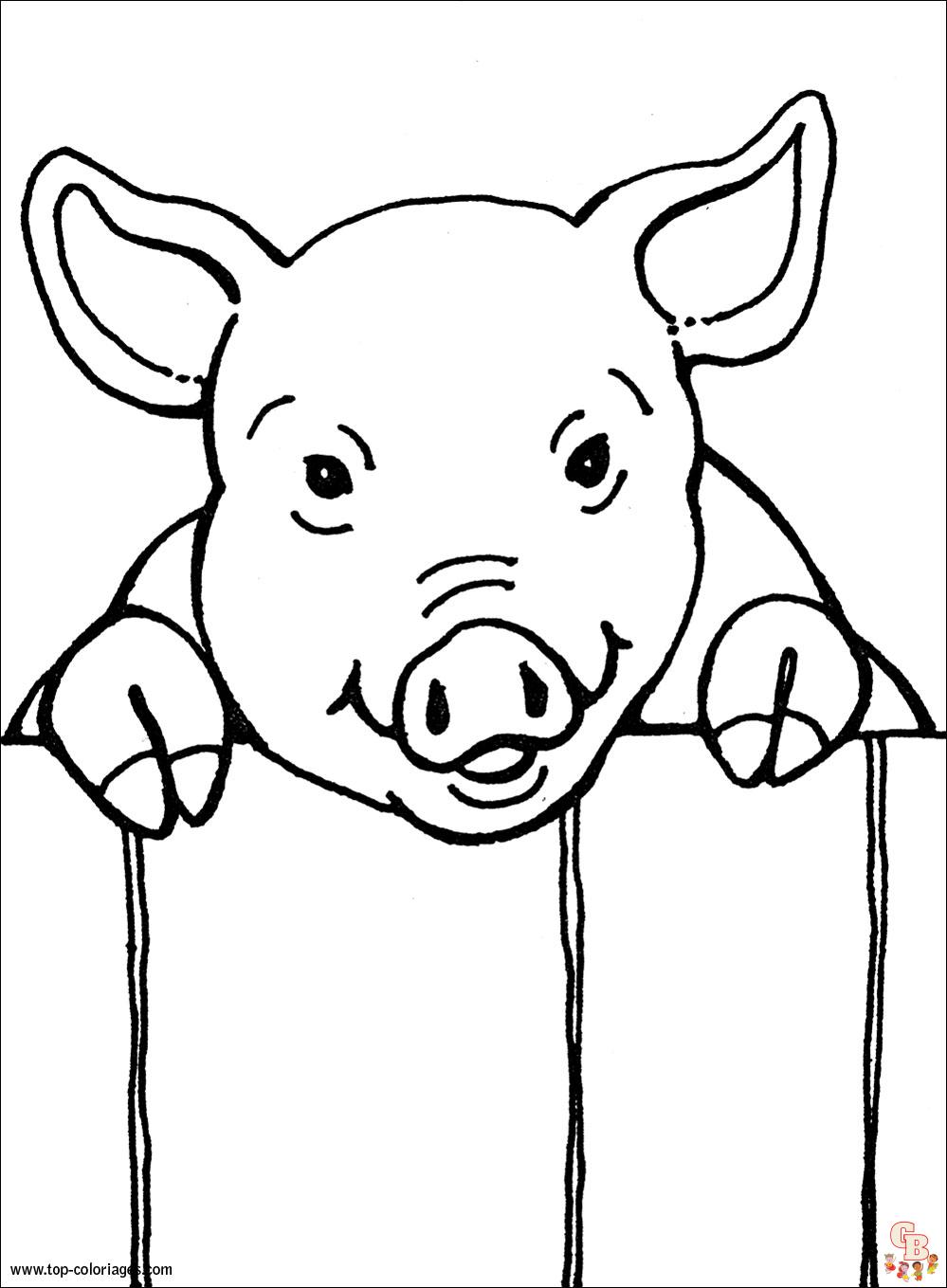 Coloriage Cochons