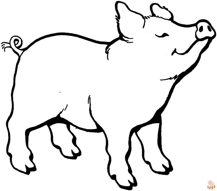 Coloriage Cochons