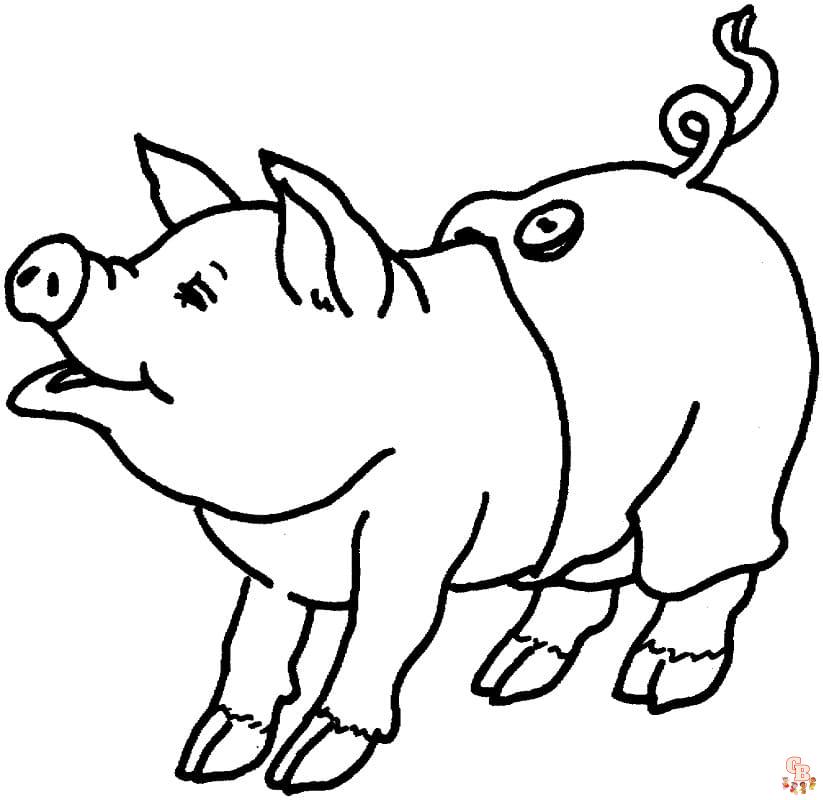 Coloriage Cochons