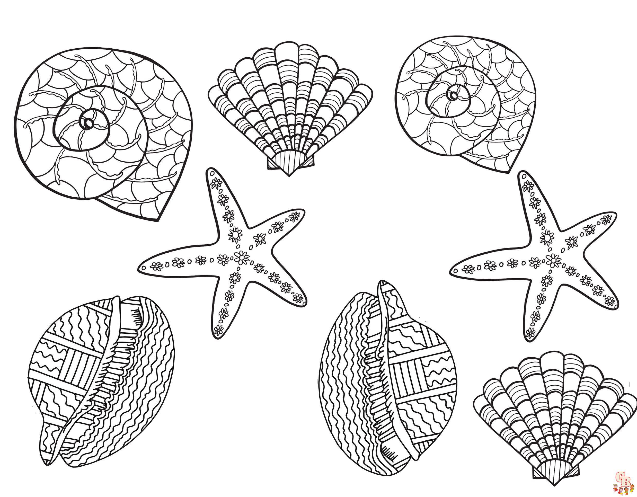 Coloriage Coquillages