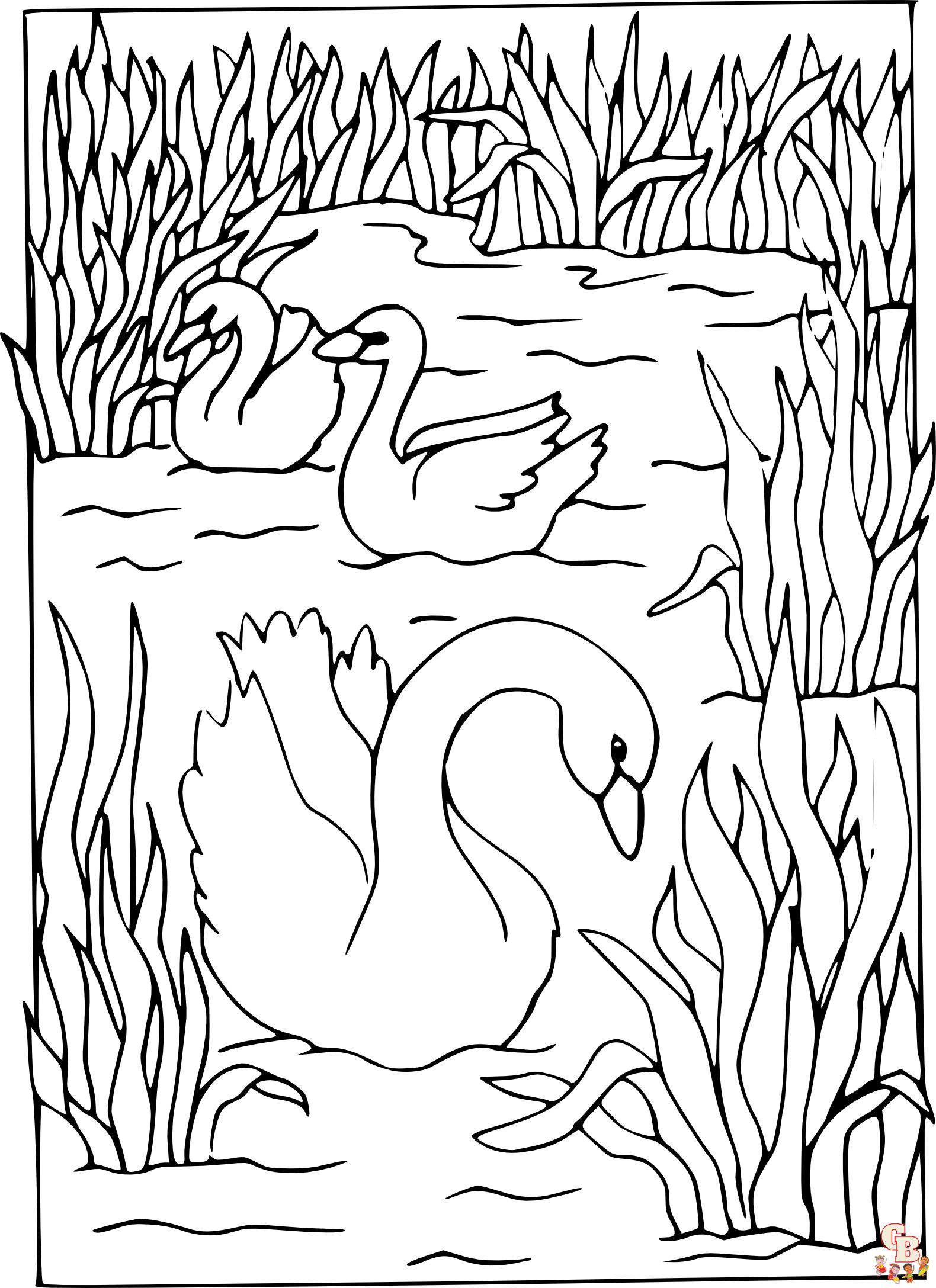 Coloriage Cygnes