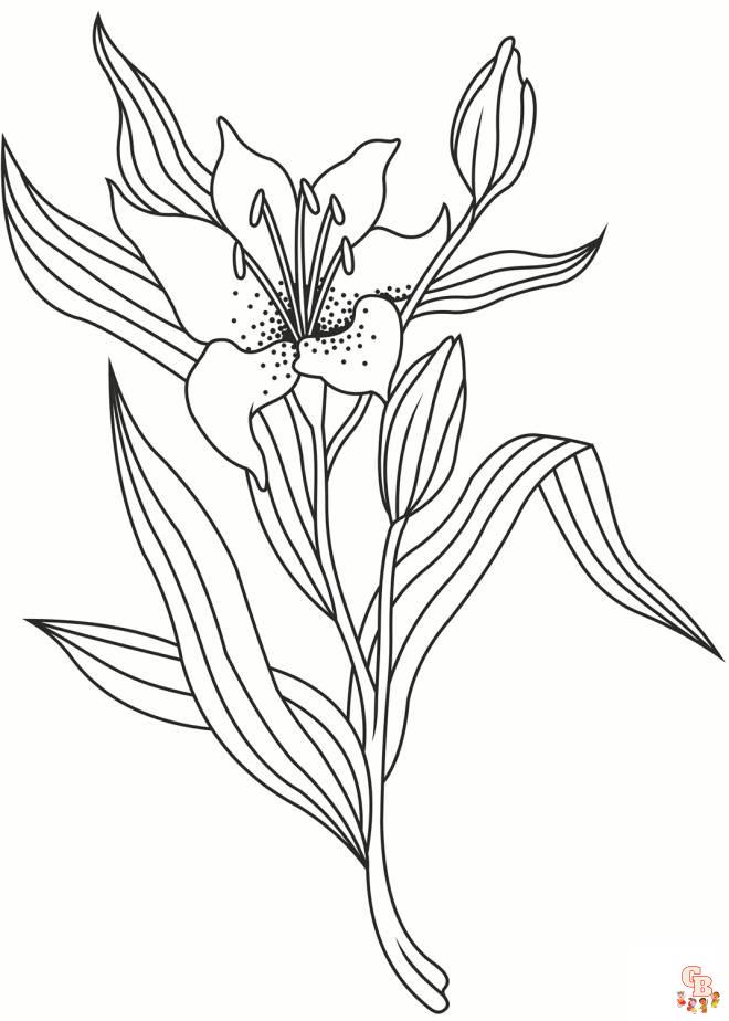 Coloriage Fleur De Lis