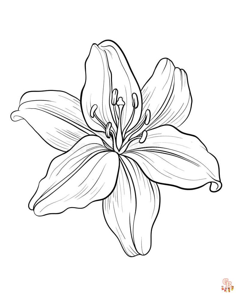 Coloriage Fleur De Lis