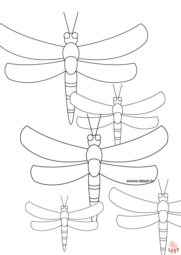 Coloriage Libellule